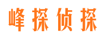 进贤侦探公司